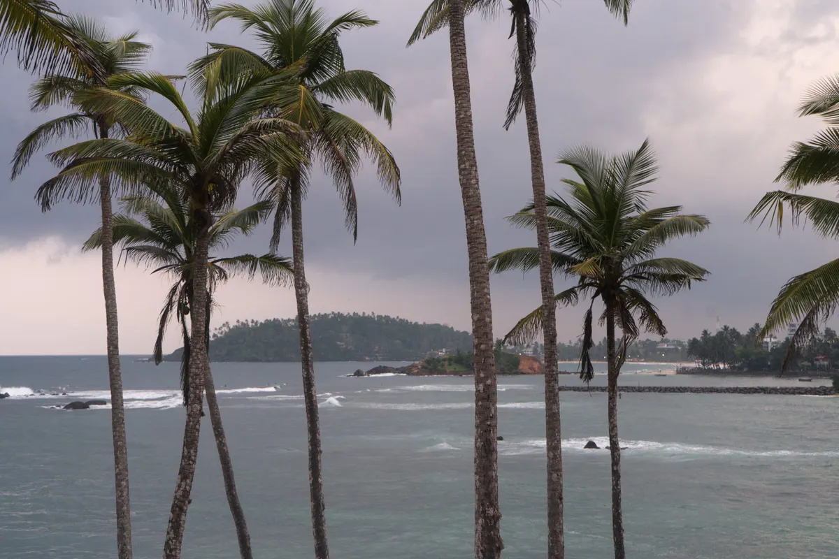 The palm grove of Coconut Tree Hill above the Indian Ocean at sunset
