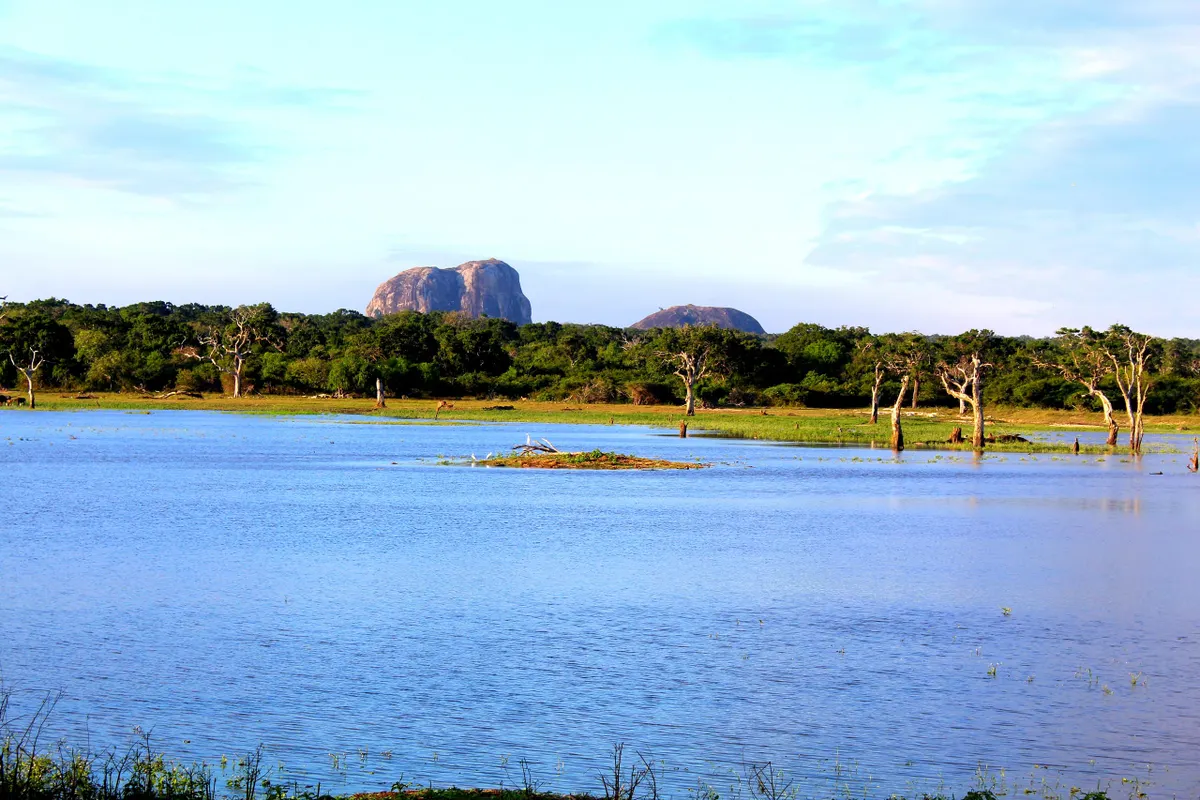 Granite rock outcrops rising over the lagoons and scrubland of Yala