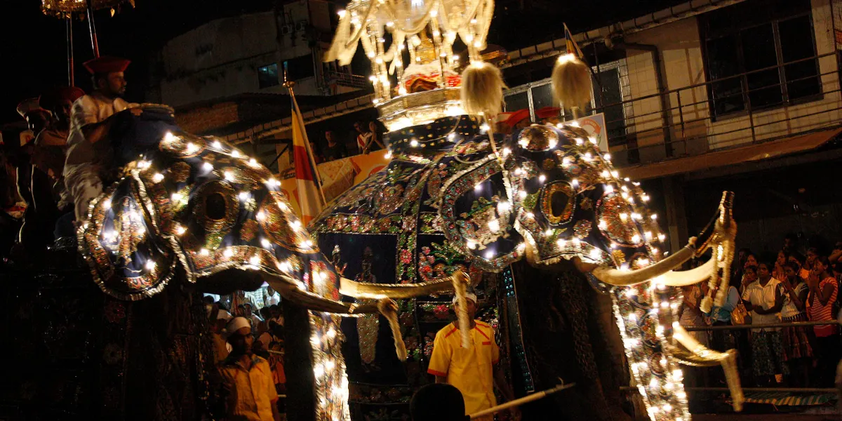 An illuminated tusker parading at the Kandy Esala Perahera