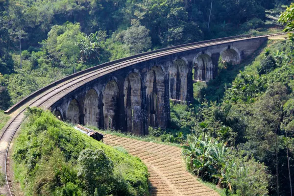 The Nine Arch Bridge curving through tea and jungle near Ella