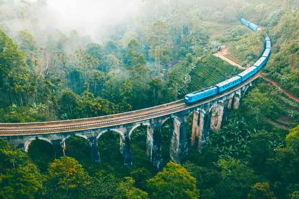 高山茶乡之旅 — 4 天茶园与山径