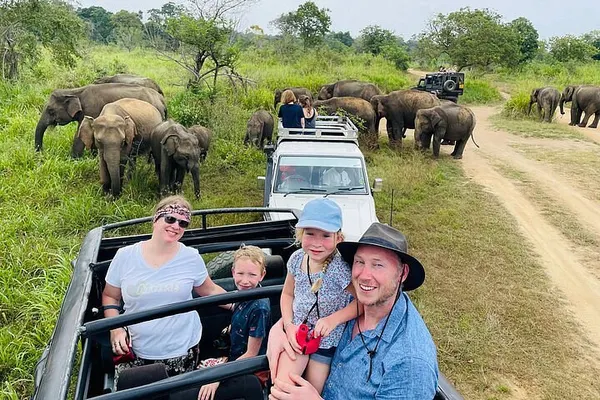 Adventure Safari
